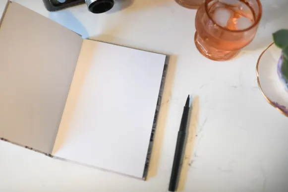 Casino Mr Vegas Ënnerstëtzung